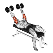 Pronated Triceps Extension