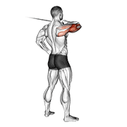 Cable Triceps Kickback