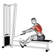 Elevated Seated Cable Row