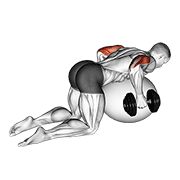 Dumbbell Kickback on Stability Ball