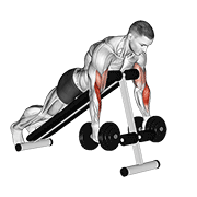 Incline Hammer Curl