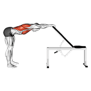 Chest Stretch