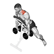 Decline Dumbbell Shrug