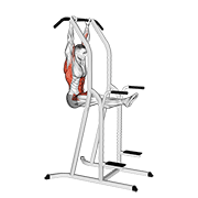 L Pull-up