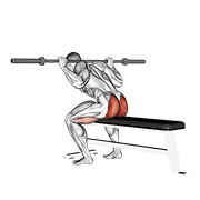 Seated Barbell Good Morning