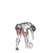 Medicine Ball Chest Throw