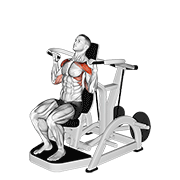 Shoulder Press Machine