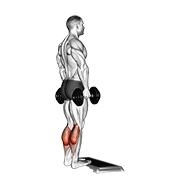Step Standing Dumbbell Calf Raise