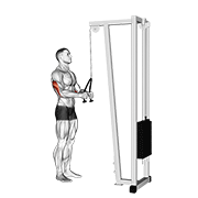Rope Triceps Extension