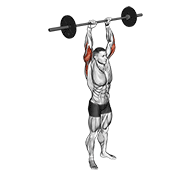 Standing Barbell Triceps Extension