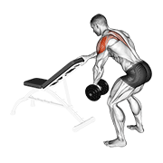 One Arm Dumbbell Rear Delt Fly