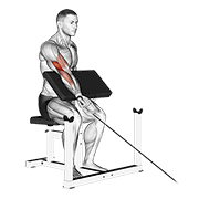 One Arm Cable Preacher Curl