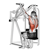 Reverse Grip Seated Row