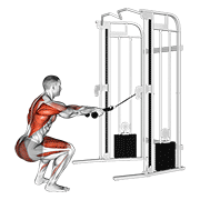 Cable Squat Row