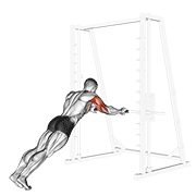 Bodyweight Triceps Extension