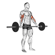 Wide Grip Barbell Curl