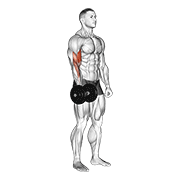 One Arm Dumbbell Curl