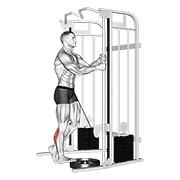 Single Leg Cable Calf Raise