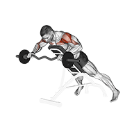 Incline Bench EZ Bar Skull Crusher