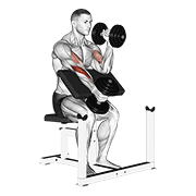 Alternating Dumbbell Hammer Preacher Curl