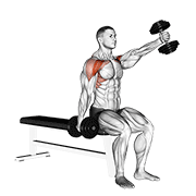 Seated Dumbbell Front Raise