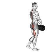 Single Leg Dumbbell Deadlift