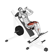 Close Stance Hack Squat