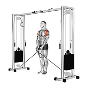 Cross Cable Lateral Raise
