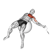 Stability Ball Cable Fly