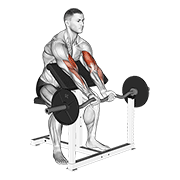 Close Grip Preacher Curl