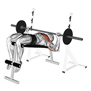Wide Grip Decline Press