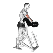 Dumbbell Preacher Curl