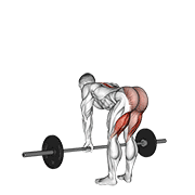 Stiff Leg Deadlift