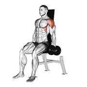 Seated Lateral Raise