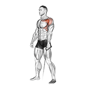 One Arm Cable Front Raise