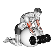 Stability Ball Preacher Curl