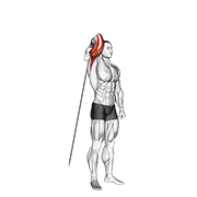 One Arm Reverse Cable Extension