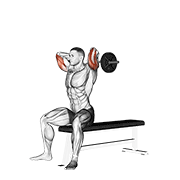 Seated EZ Bar Triceps Extension