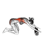Foam Roller Back Stretch