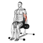 Seated Hammer Curl