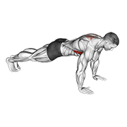 Scapular Push-up