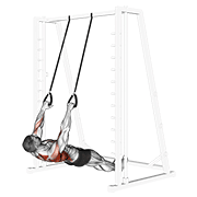 Ring Inverted Row