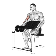 One Arm Dumbbell Preacher Curl