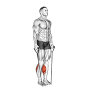 Band Calf Raise