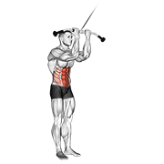 Standing Cable Crunch