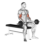 Seated EZ Bar Curl