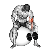 Concentration Curl on Stability Ball
