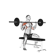 Seated Barbell Press