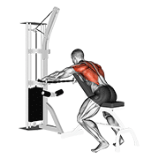 Wide Grip Decline Row