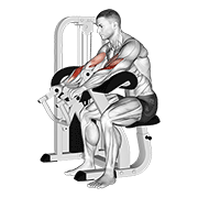 Reverse Preacher Curl Machine